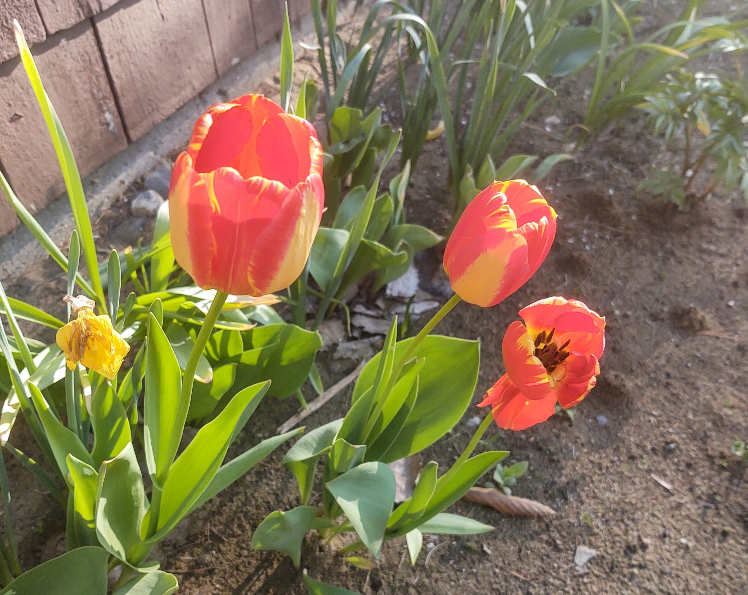 What I Love Most About Early Spring